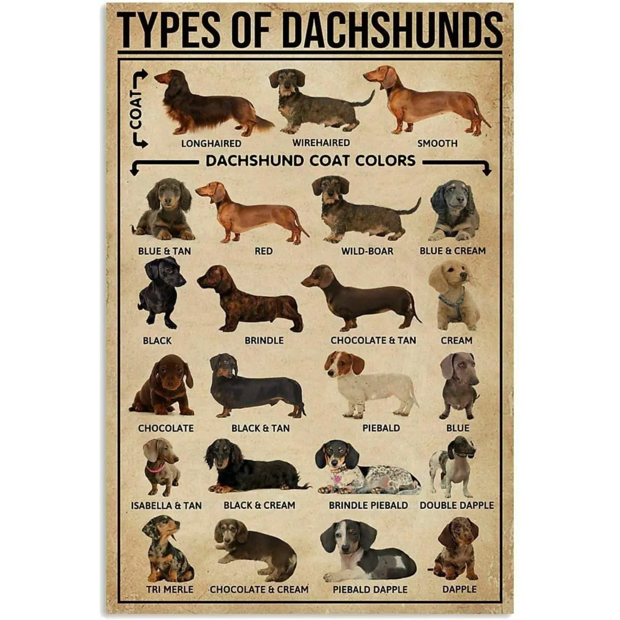 Dachshund Tin Sign Wall Decor