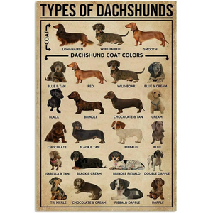 Dachshund Tin Sign Wall Decor