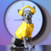 Vibrant Reveller Chihuahua Statue