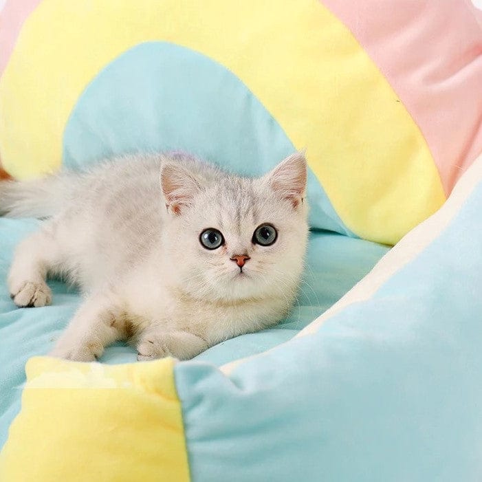 Rainbow Sofa Bed